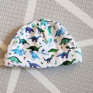 Watercolor Dinosaur Baby Hat 0-6m